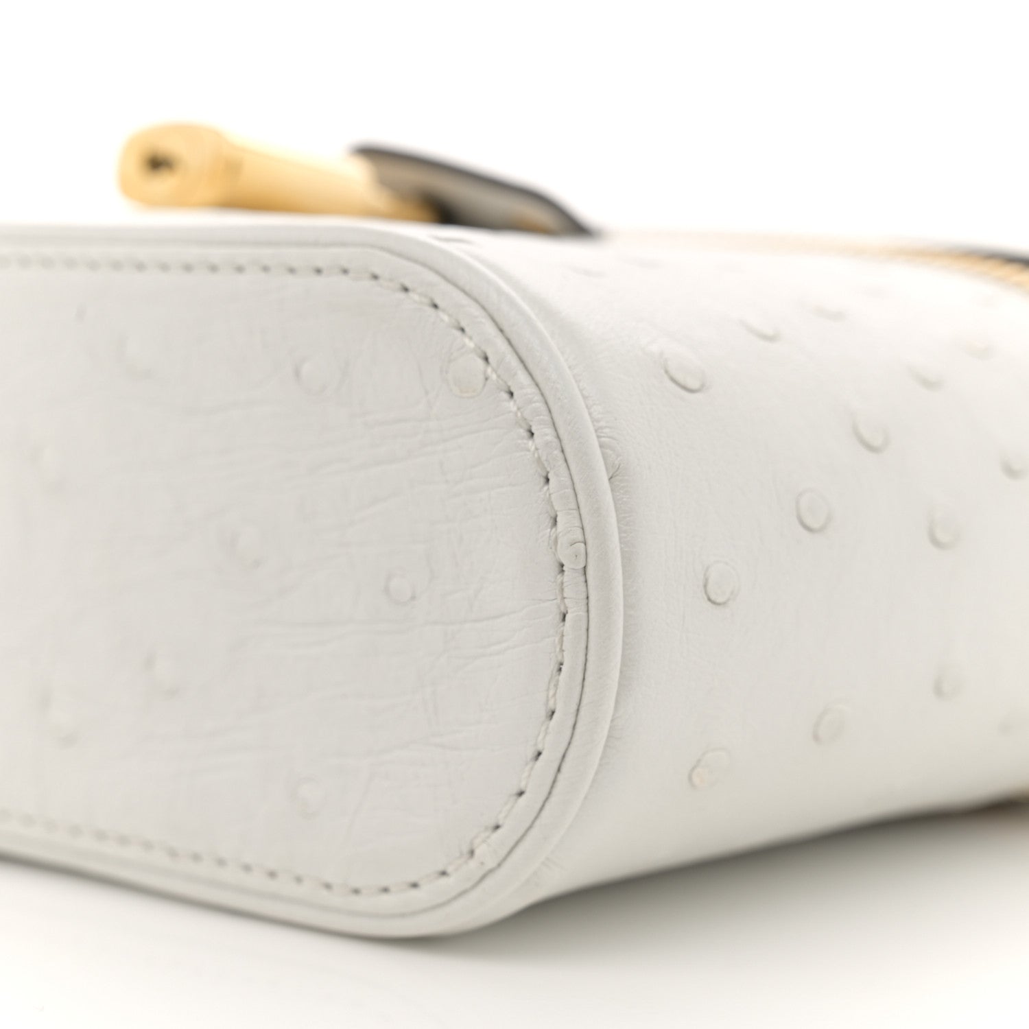 Louis Vuitton Ostrich Vanity Chain Pouch 1602067 – FASHIONPHILE