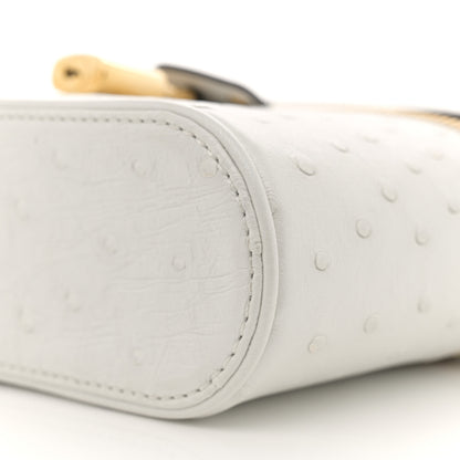 Louis Vuitton Ostrich Vanity Chain Pouch 9 of 10