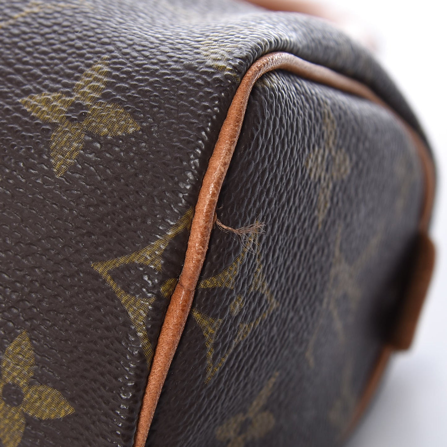Monogram Mini Sac HL Speedy