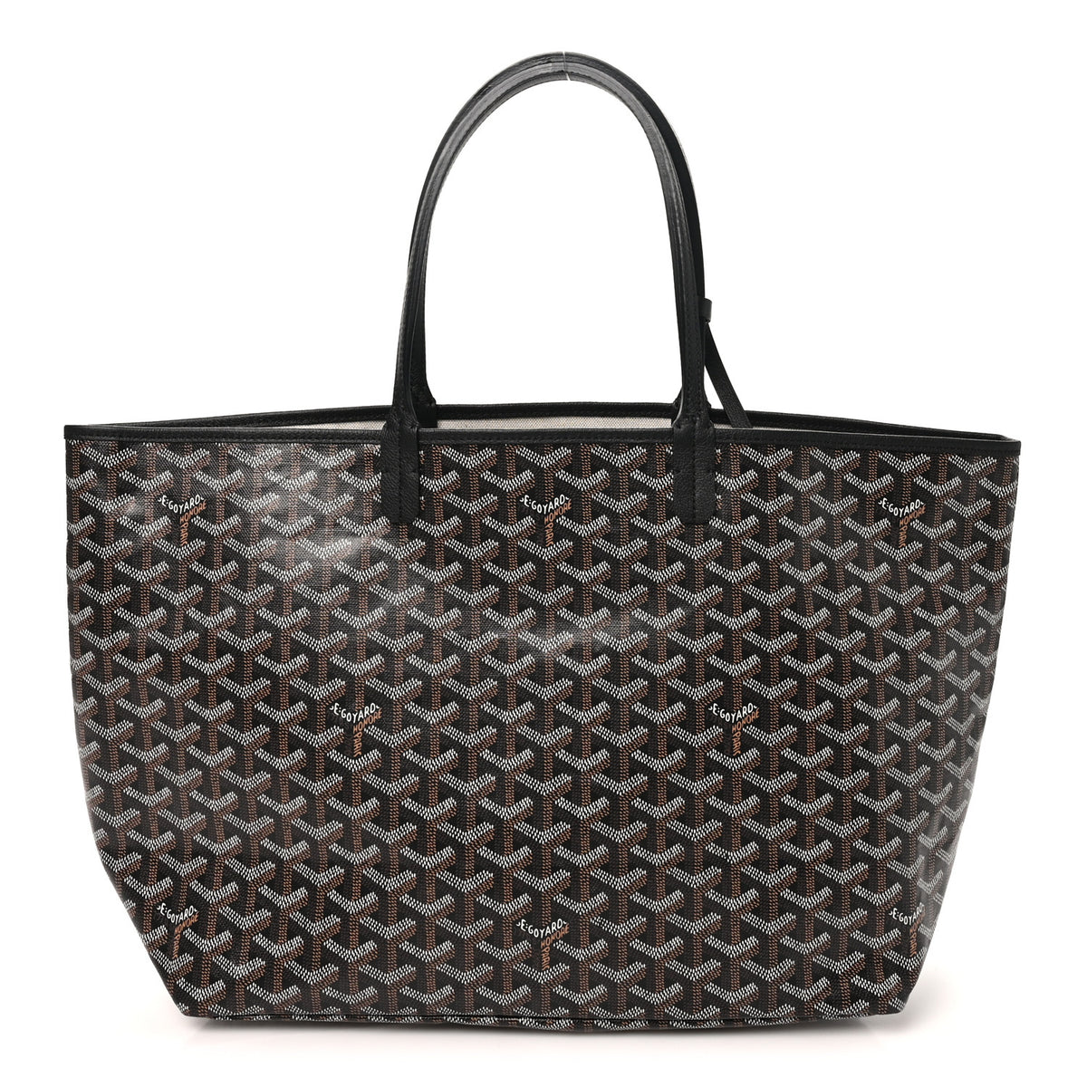 Goyard Goyardine Saint Louis PM Black 1 of 10