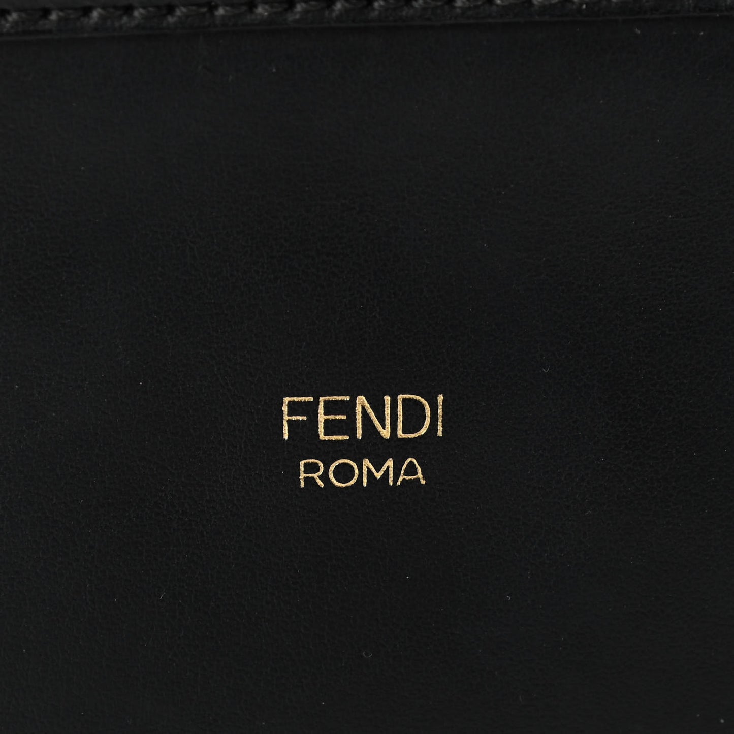 Vitello Century F is Fendi Camera Case Black