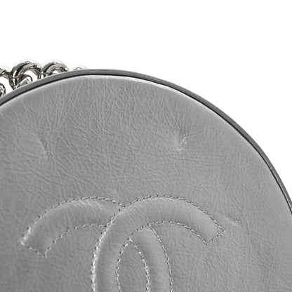 Chanel Metallic Glazed Calfskin Round As Earth Evening Bag Silver 13 of 14