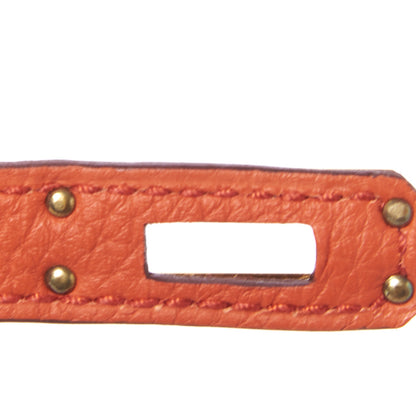 Hermes Togo Birkin 25 Terre Battue 27 of 34