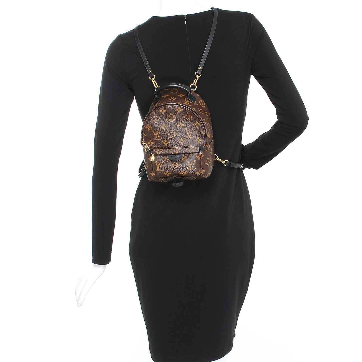 Monogram Palm Springs Backpack Mini
