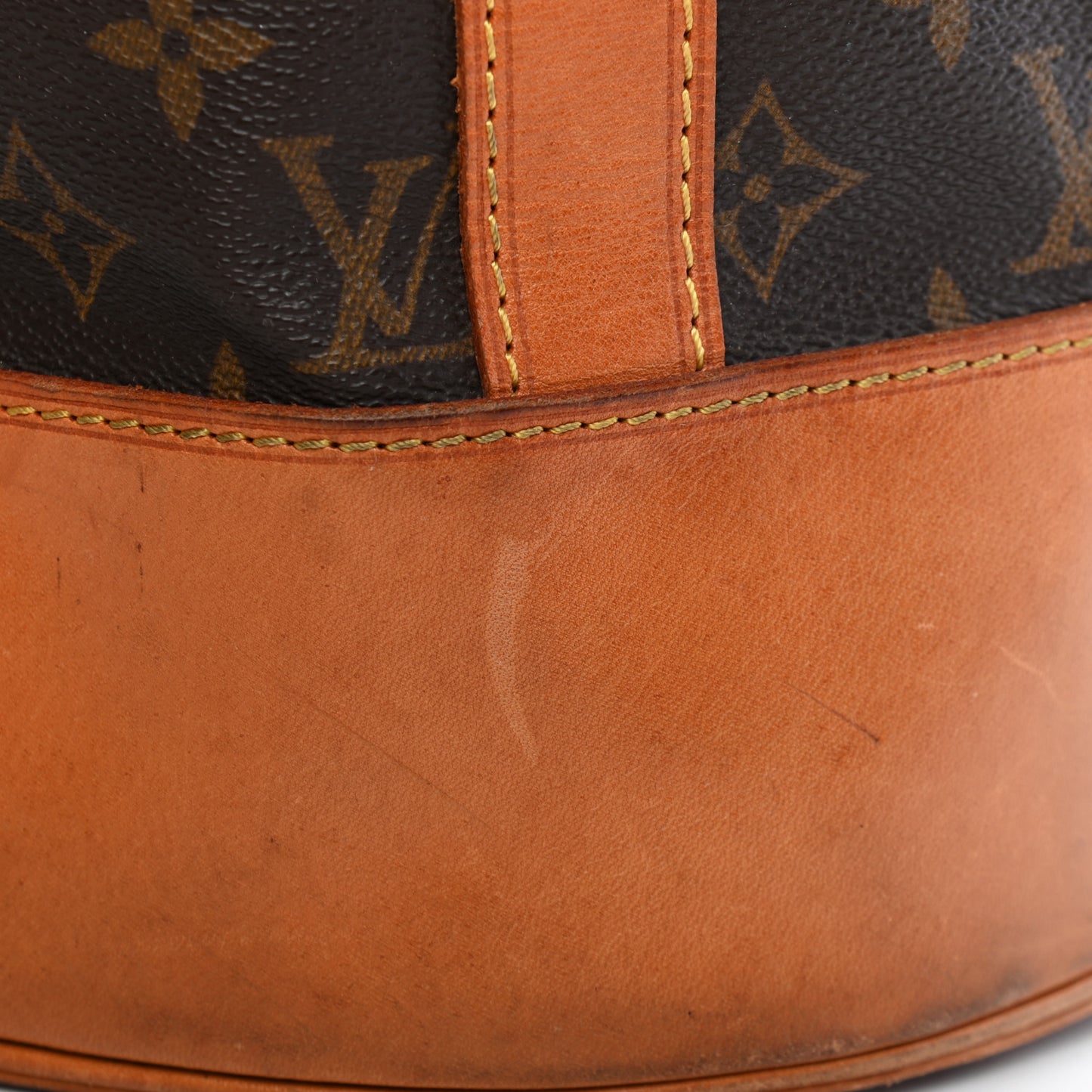 Monogram Randonnee GM Backpack