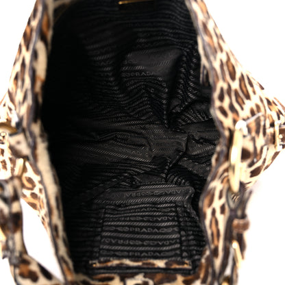 Prada Cavallino Leopard Print Shoulder Bag Avorio 5 of 21