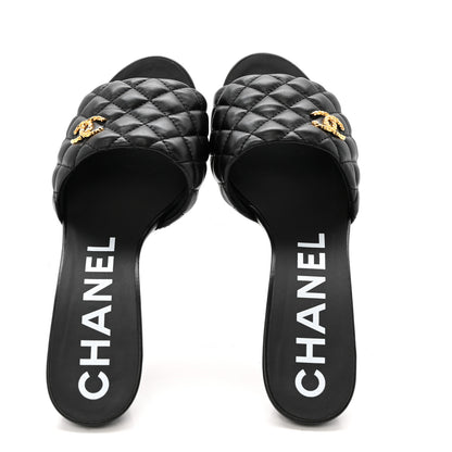 Chanel Lambskin Quilted Textured CC Mules 40 Black 2 of 11