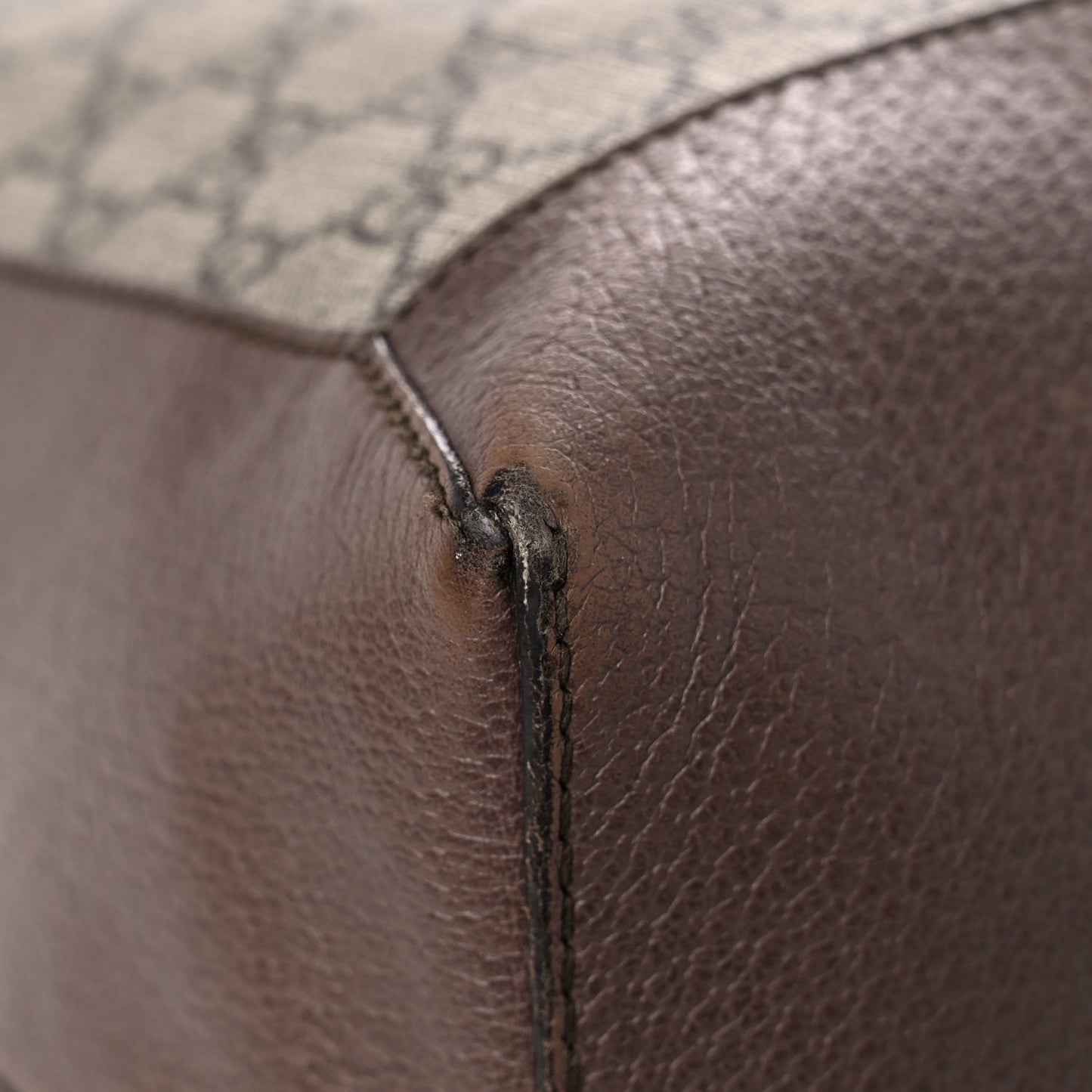 GG Supreme Monogram Web Ophidia Tote Brown