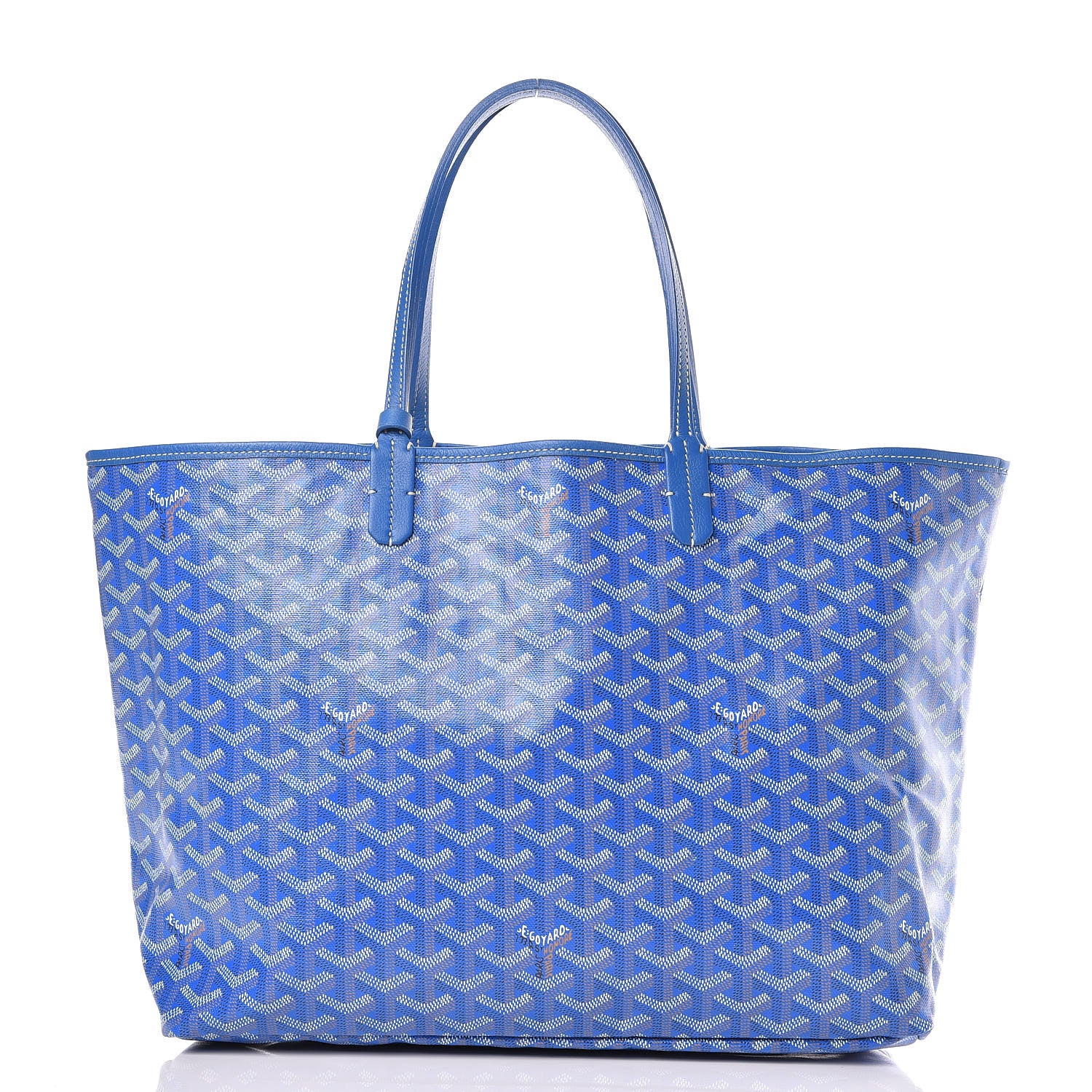 Goyard Goyardine Saint Louis PM Sky Blue 3 of 13
