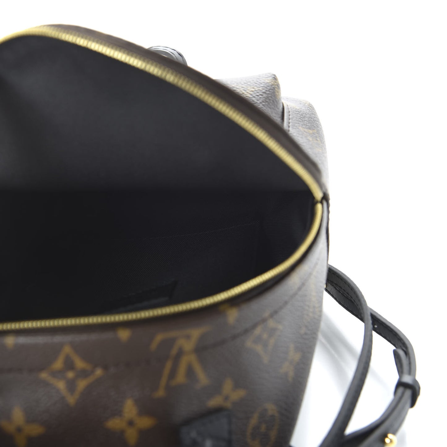 Monogram Palm Springs Backpack Mini