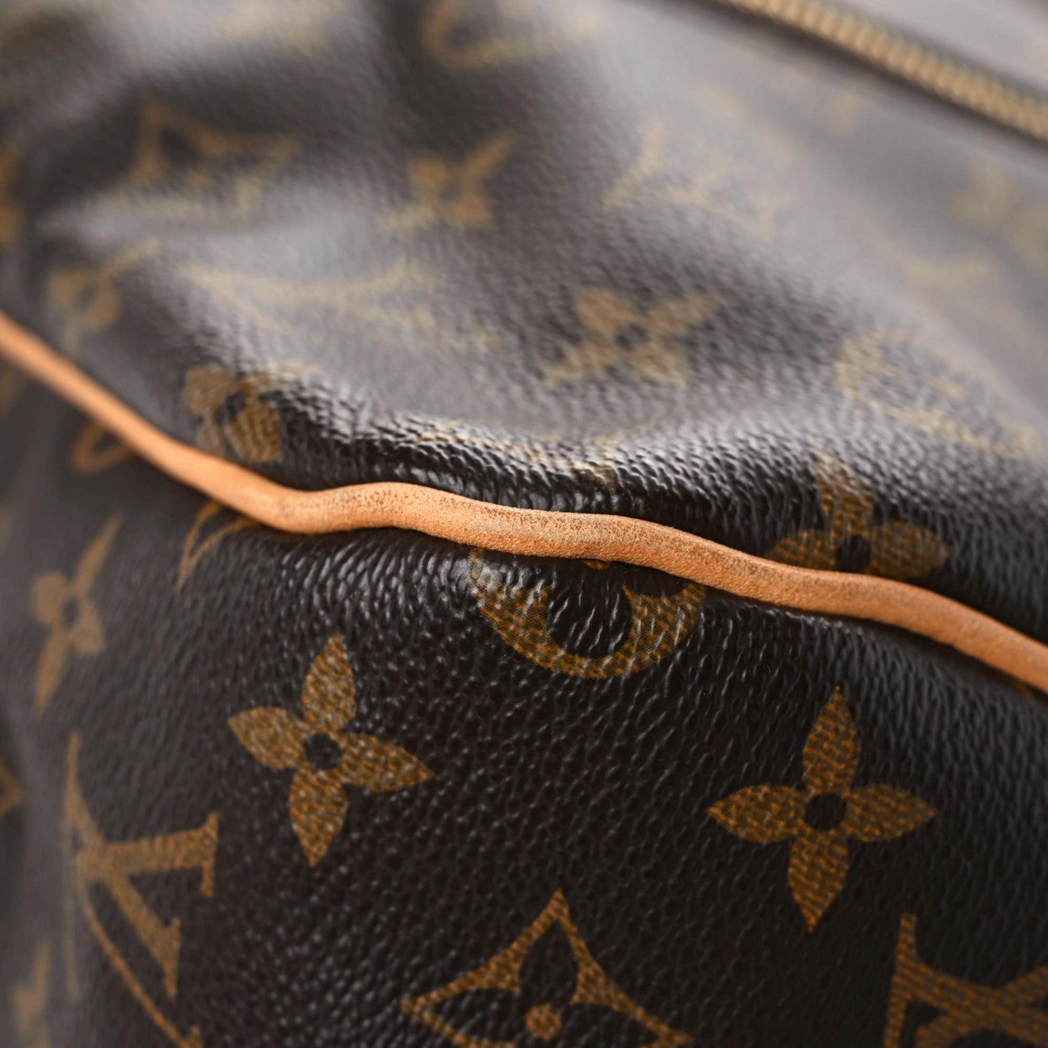 Louis Vuitton Monogram Delightful GM 11 of 19