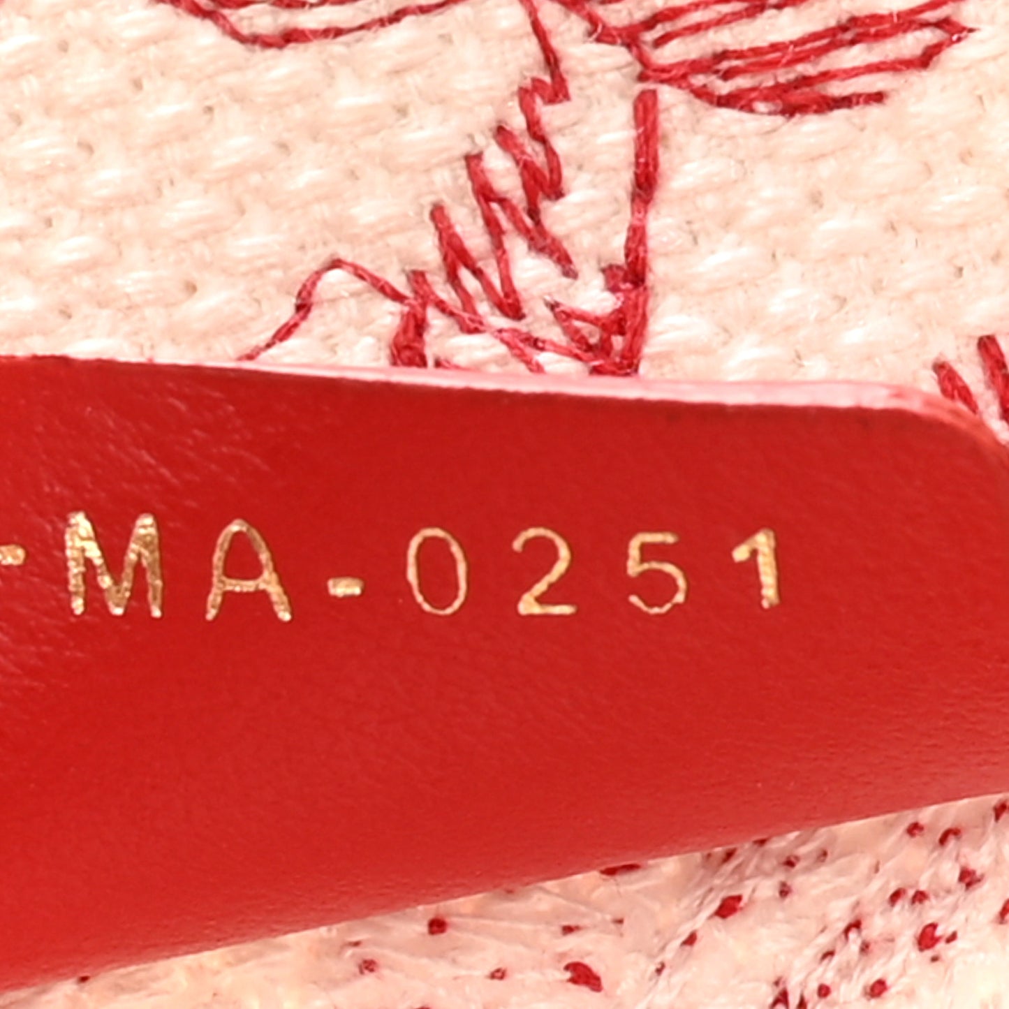 Canvas Embroidered Large Dioramour D-Royaume Book Tote Red Multicolor