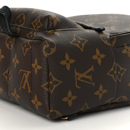 Louis Vuitton Monogram Palm Springs Backpack Mini 9 of 9
