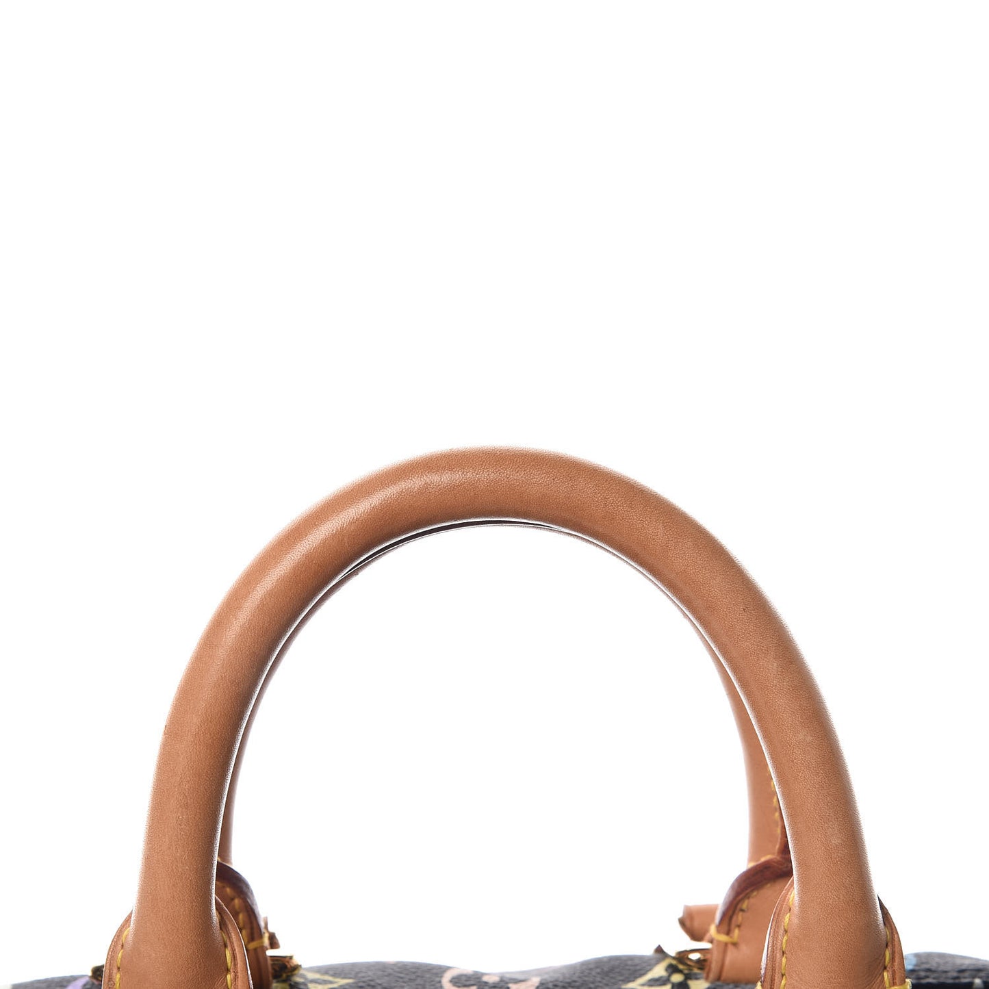 Monogram Multicolor Speedy 30 Black