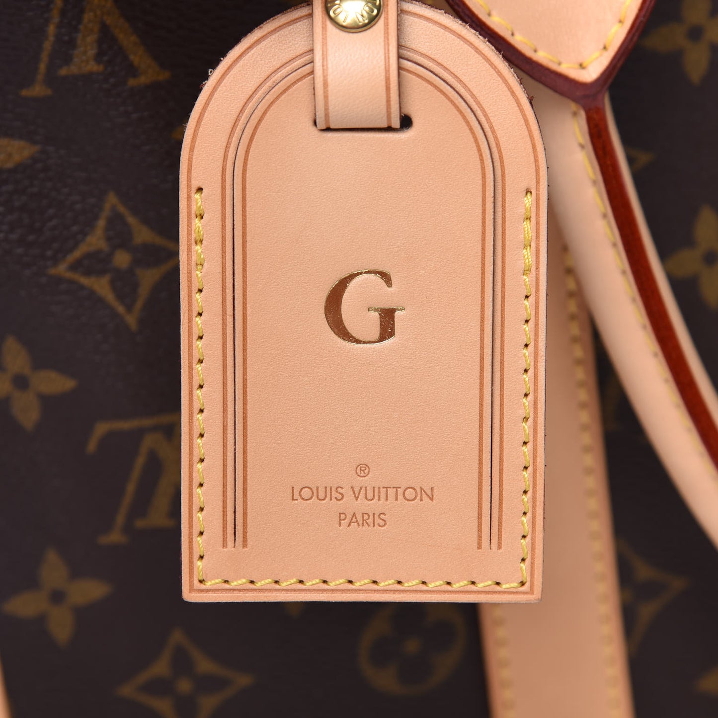 Monogram Sac Chien 40 Pet Carrier
