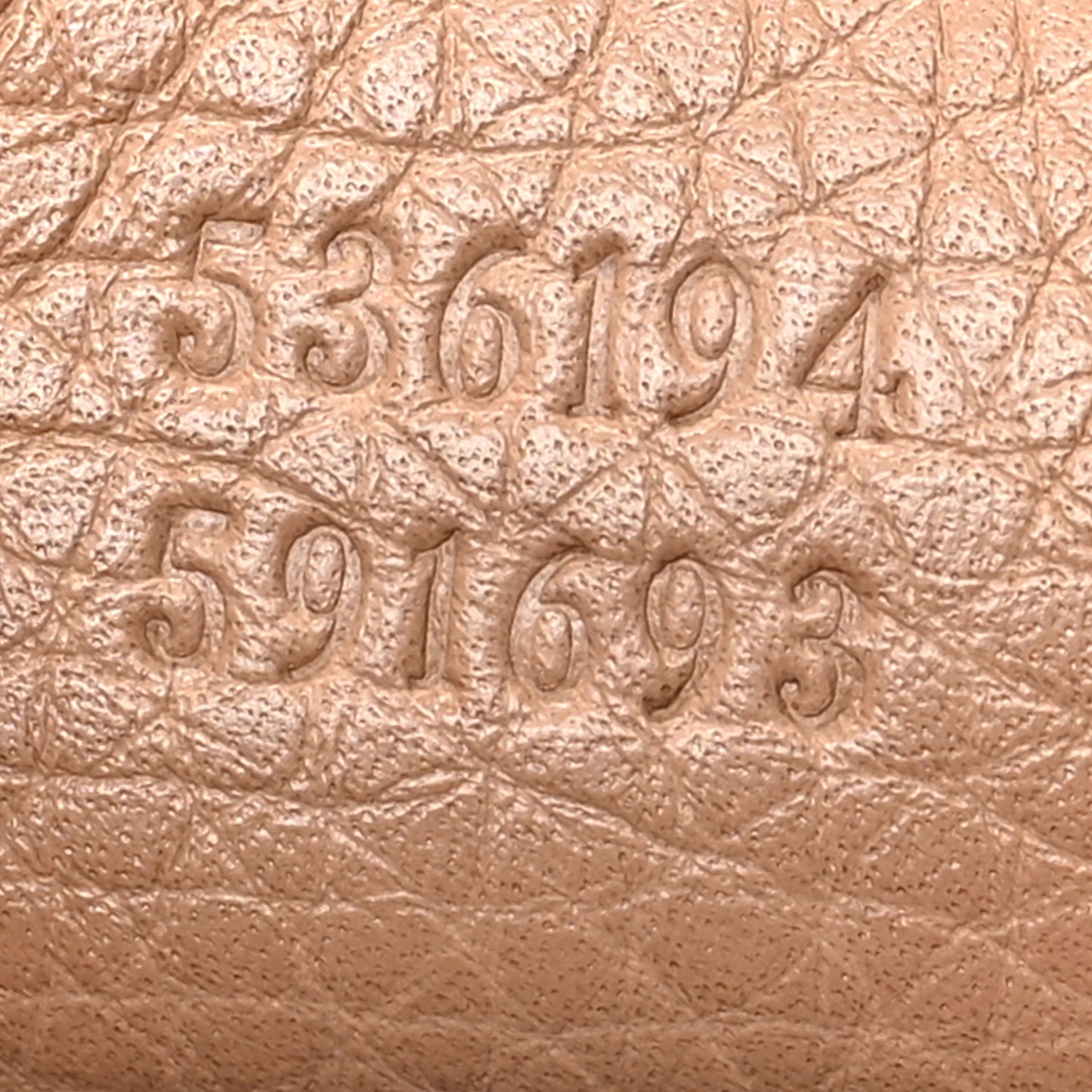 Pebbled Calfskin Soho Hobo Camelia