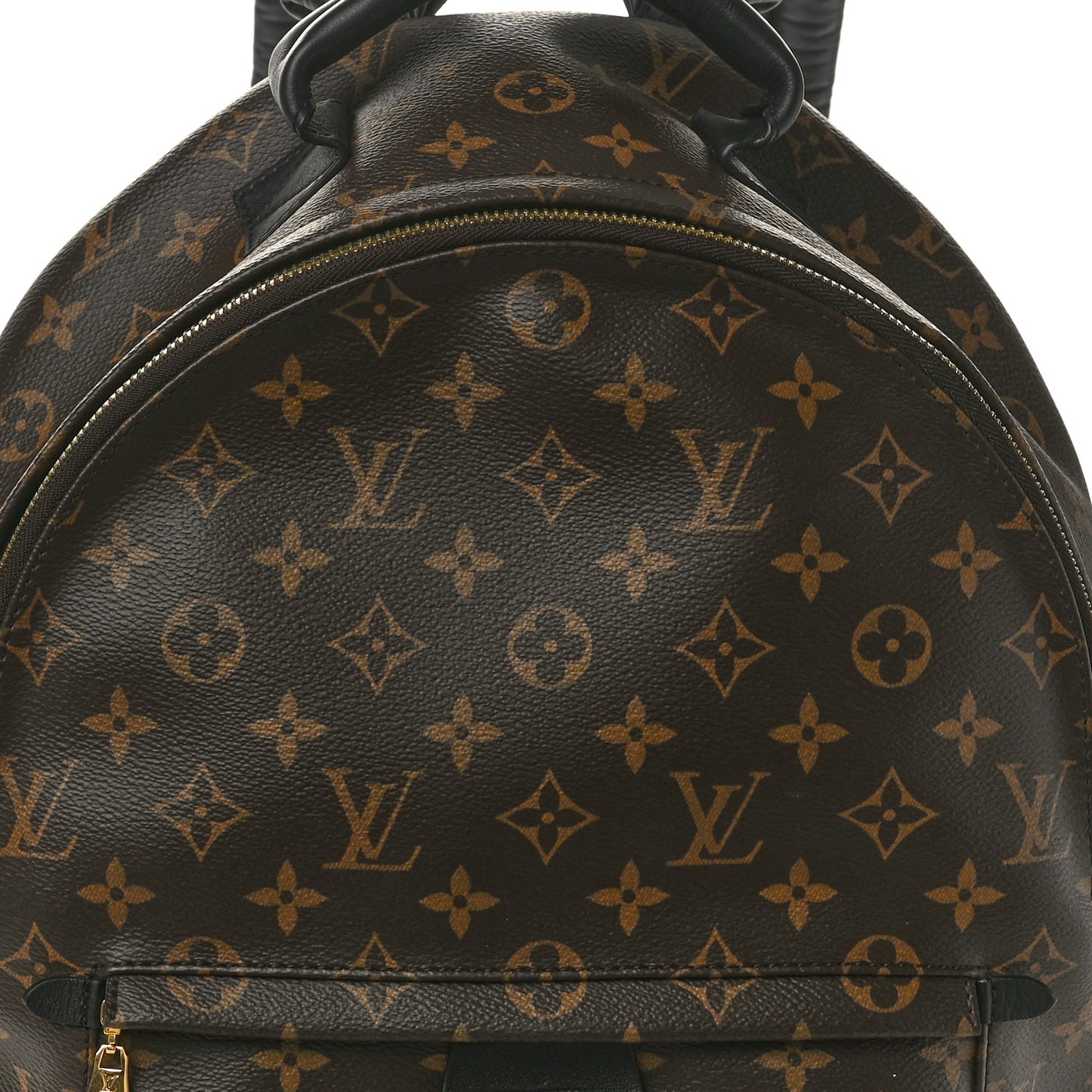 Monogram Palm Springs Backpack MM