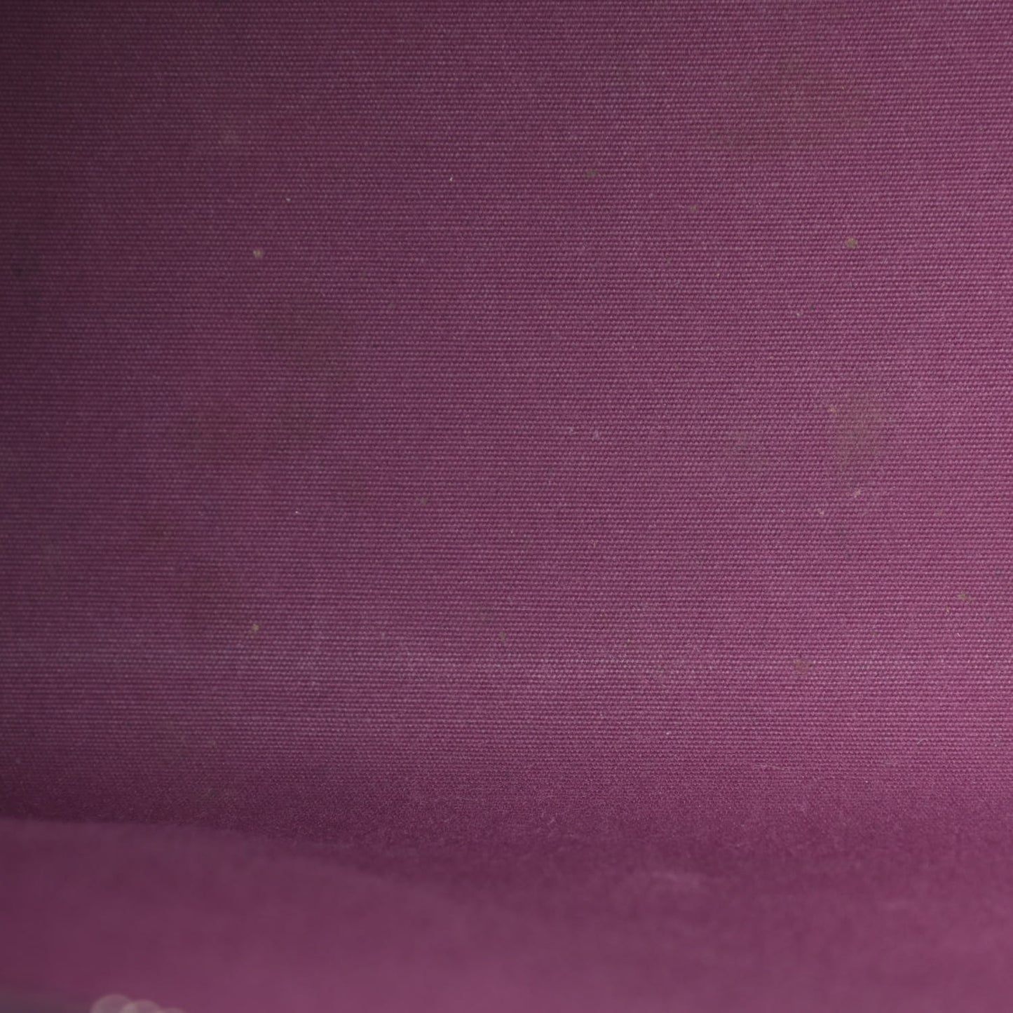 Epi Madeleine PM Cassis