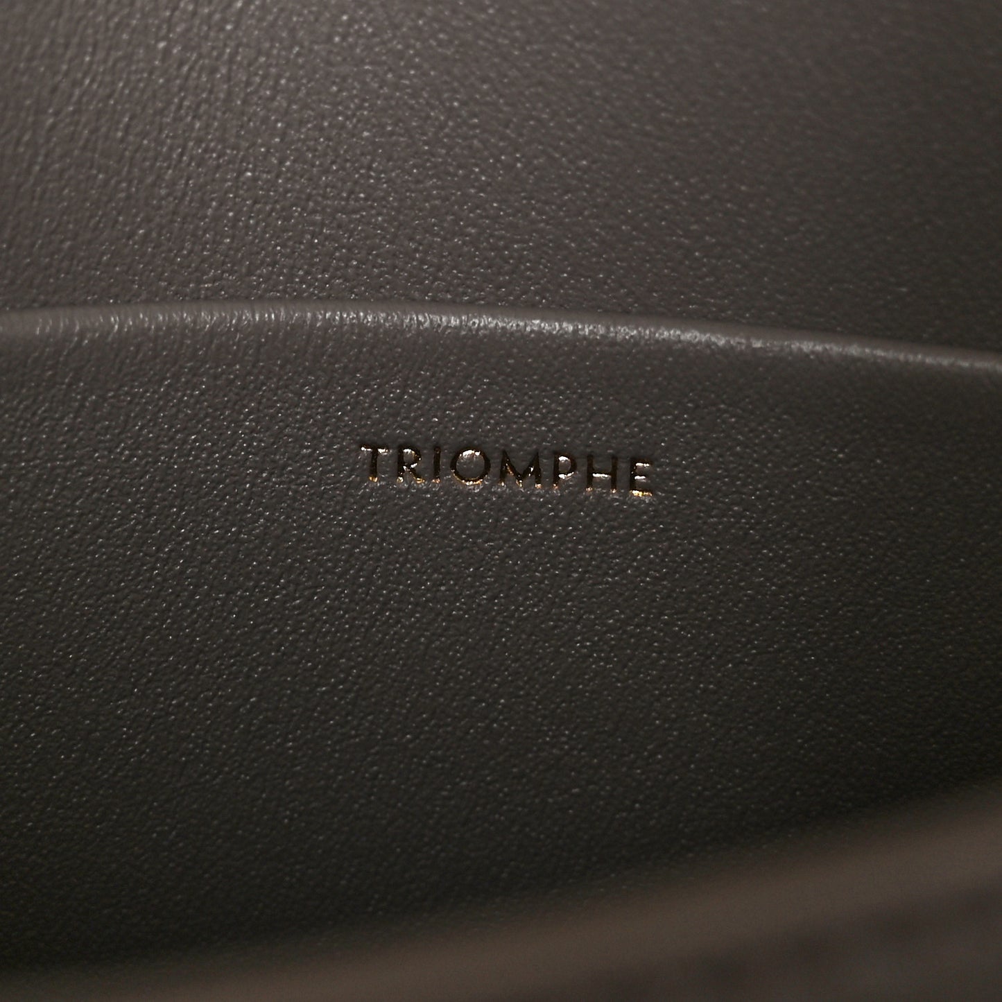 Shiny Calfskin Teen Triomphe Pebble