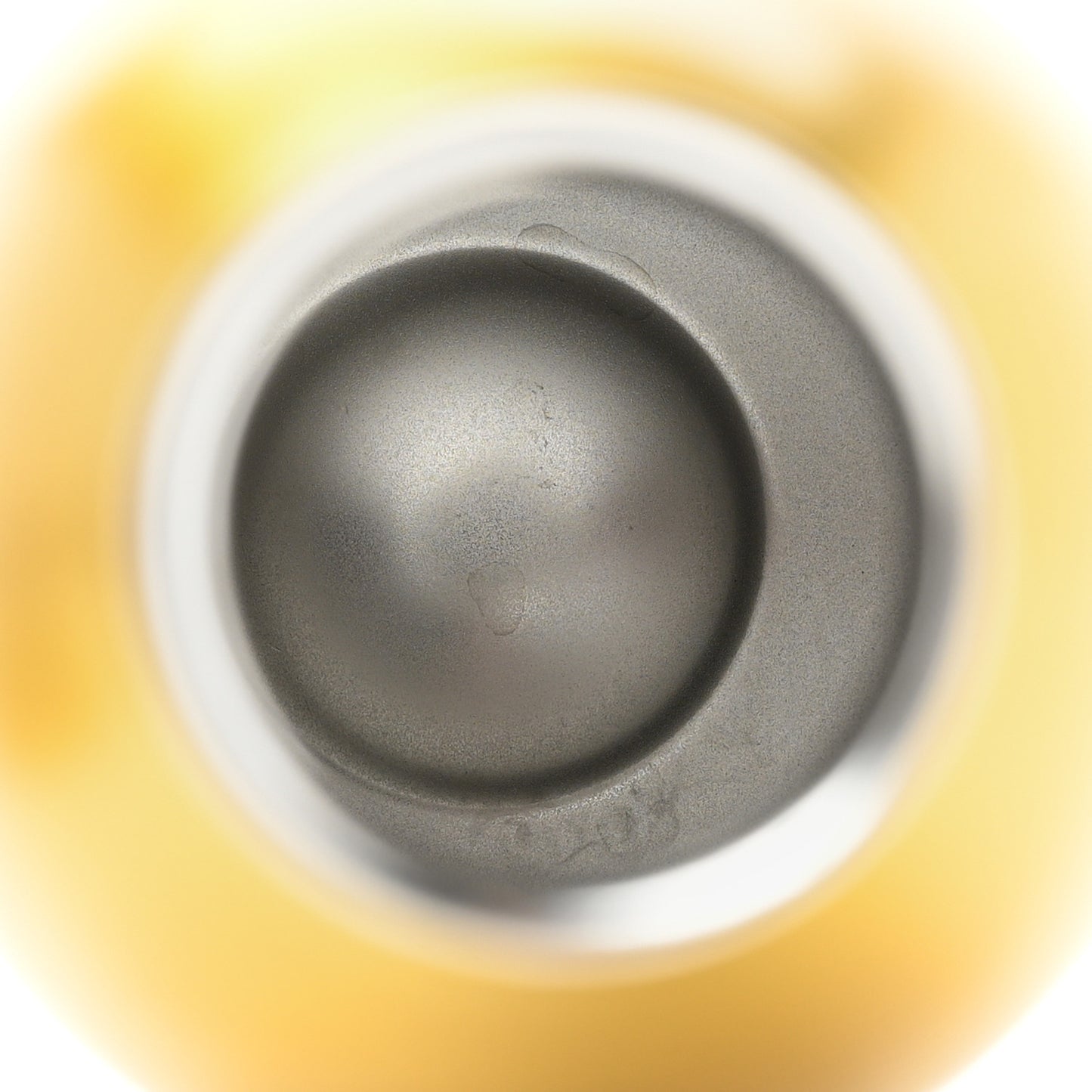 CHRISTIAN DIOR Oblique Stainless Steel Grained Calfskin Aqua Bottle With Shoulder Strap Yellow