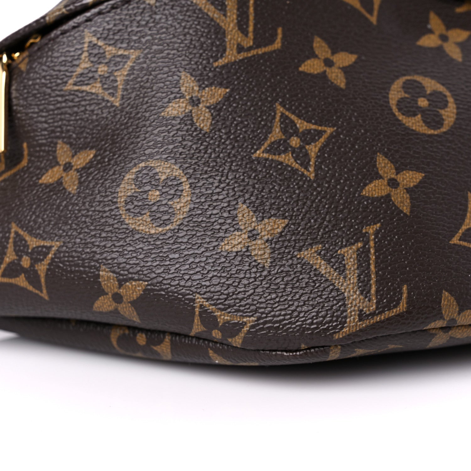Louis Vuitton Monogram My LV World Tour Bumbag 7 of 11