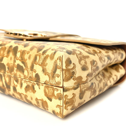 Celine Canvas Leopard Print Medium Victoire Bag 9 of 10