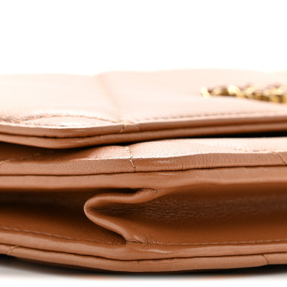 Chanel Lambskin Quilted Chanel 19 Wallet On Chain WOC Brown 10 of 15