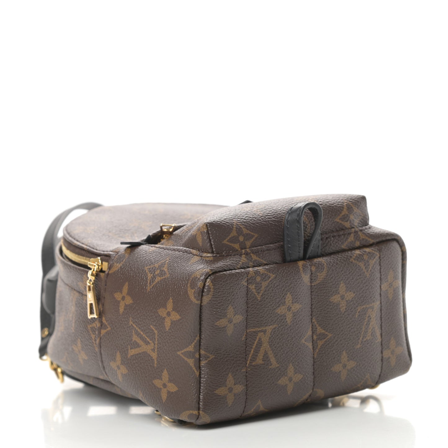 Monogram Palm Springs Backpack Mini