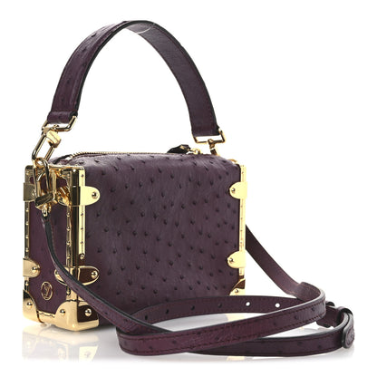 Louis Vuitton Ostrich Side Trunk PM Bordeaux 3 of 9