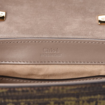 Chloe Goatskin Calfskin Lizard Embossed Mini C Double Carry Antique Green 8 of 9