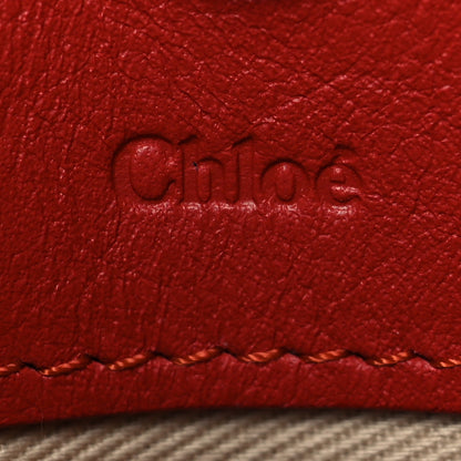 Chloe Calfskin Suede Mini Roy Bag Earthy Red 6 of 12
