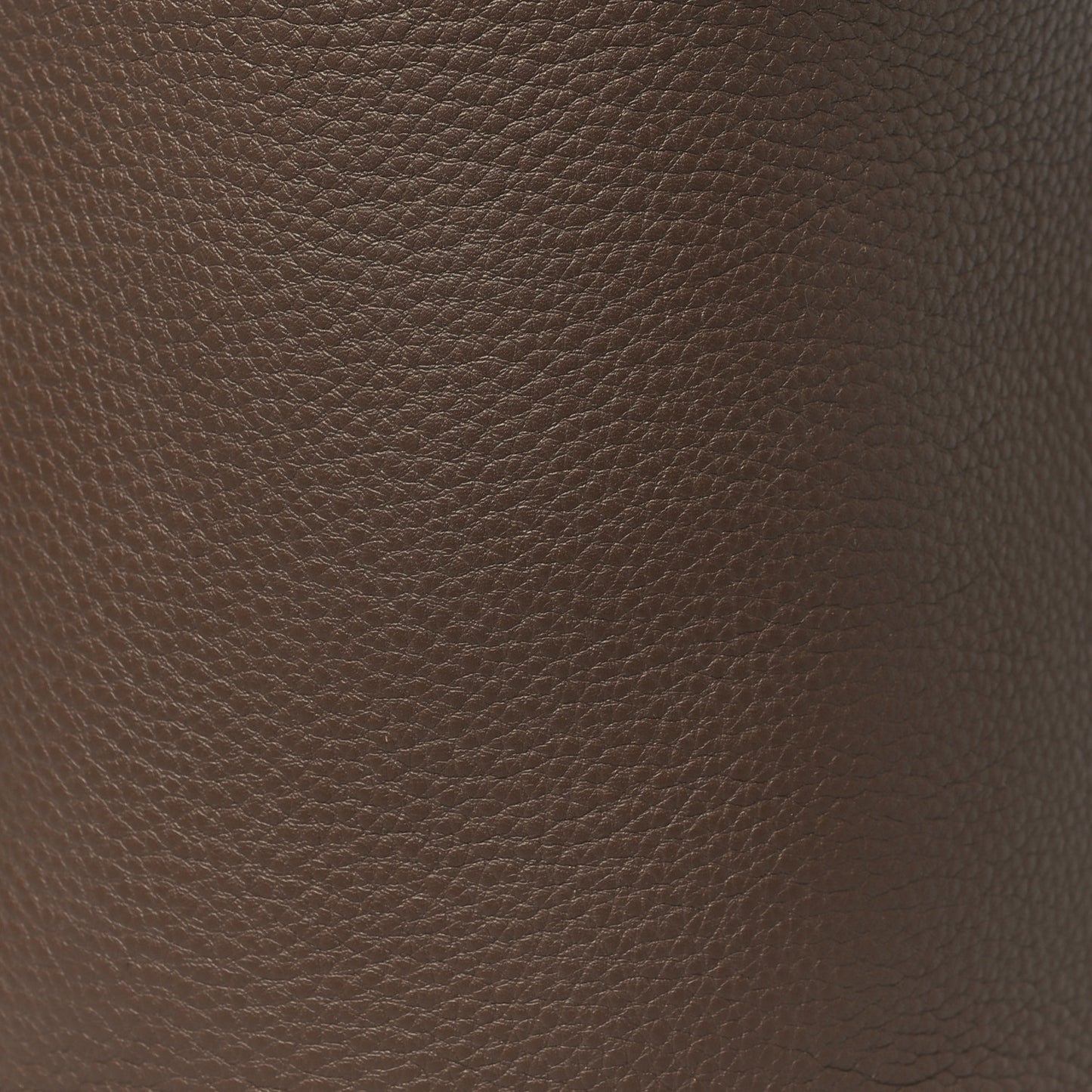 Grained Calfskin Small N/S Park Tote Dark Olive