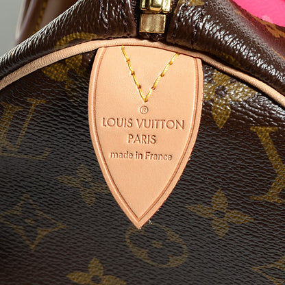 Louis Vuitton Monogram V Speedy 30 Grenade 7 of 7
