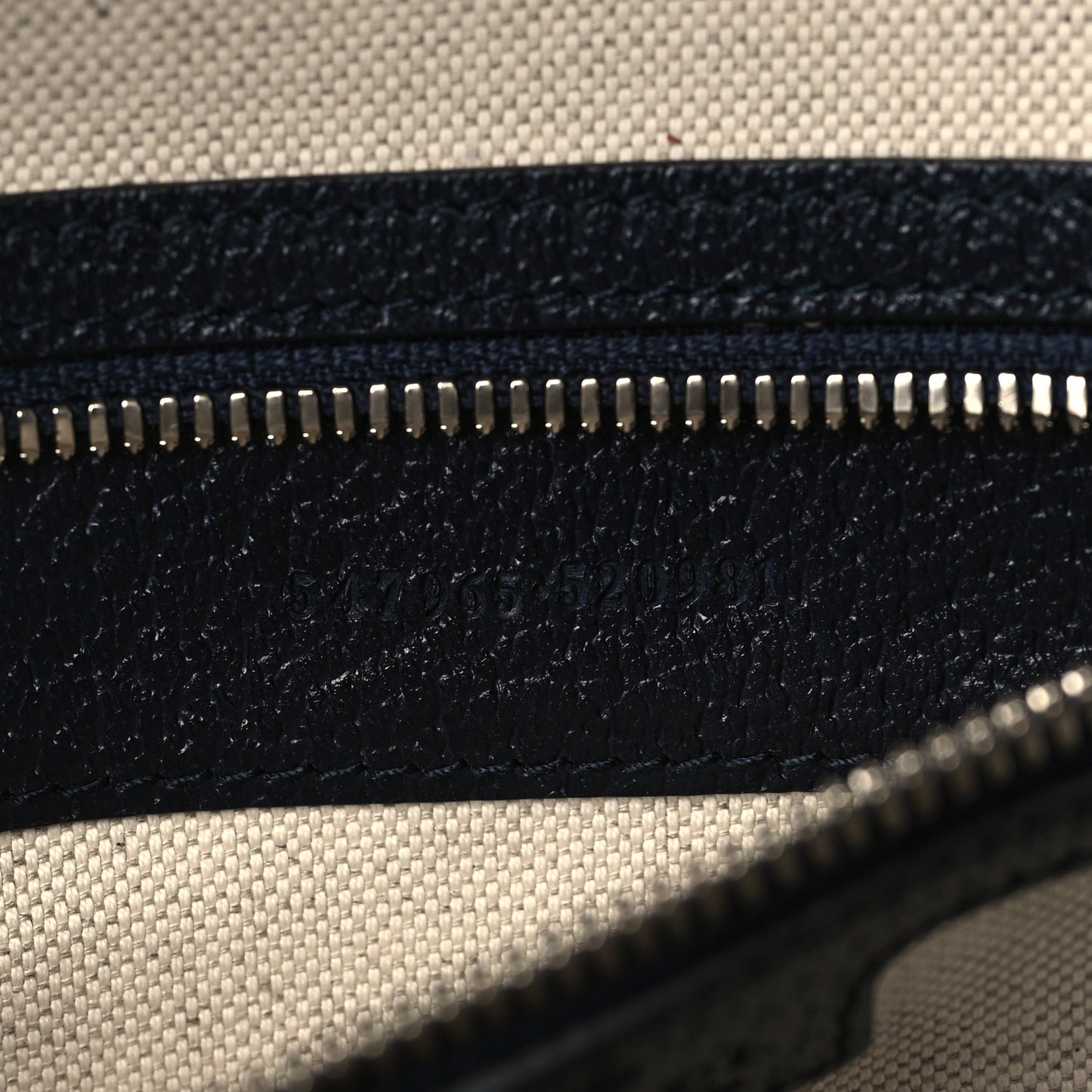 GG Supreme Monogram Textured Dollar Calfskin Web Small Ophidia Day Backpack Beige Blue Black
