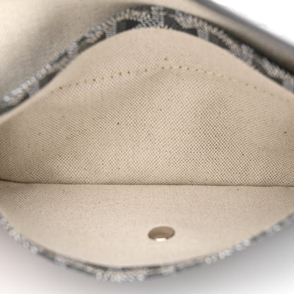 Goyard Goyardine Saint Louis GM Grey 7 of 13
