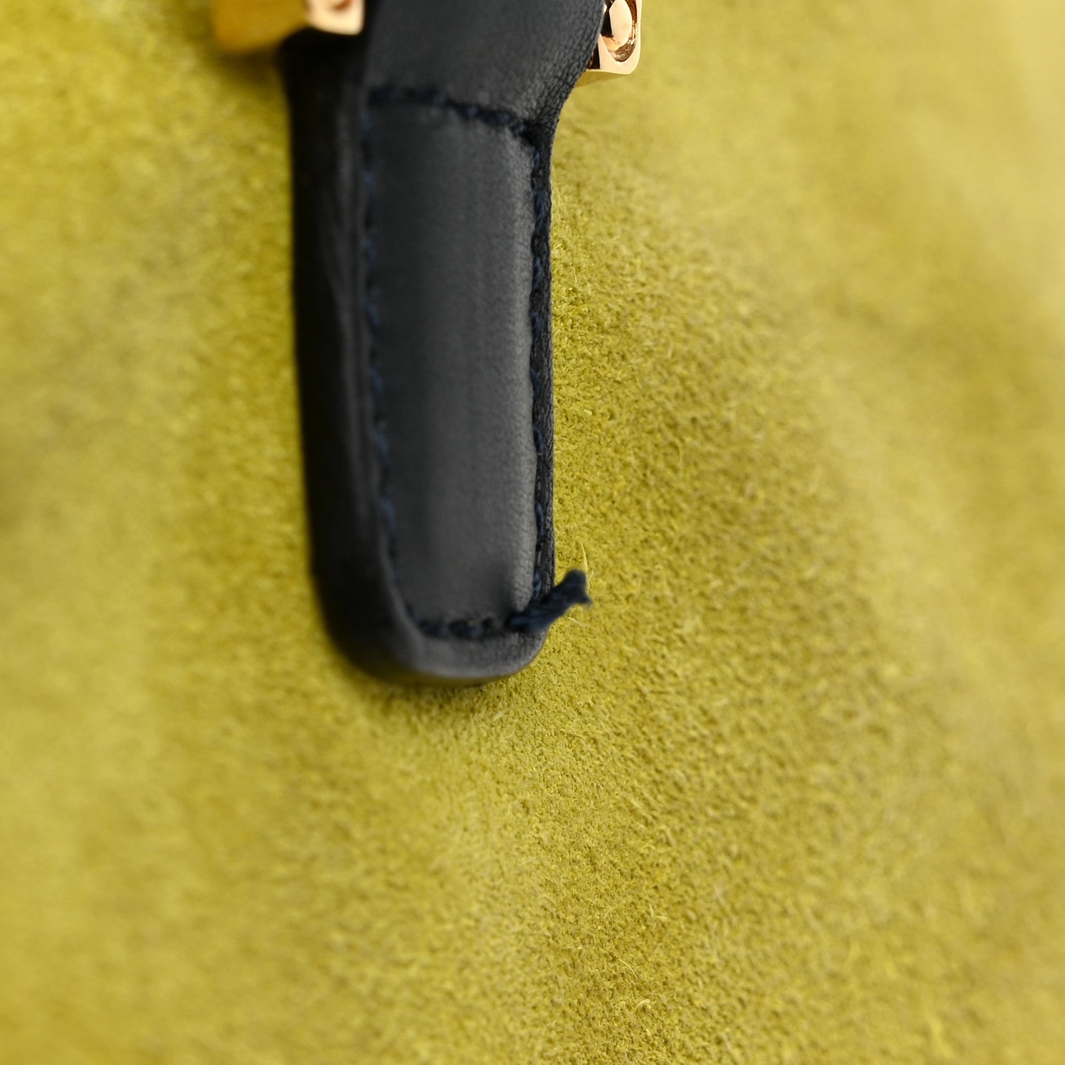 Loewe Suede Calfskin Amazona Yellow Black 10 of 11