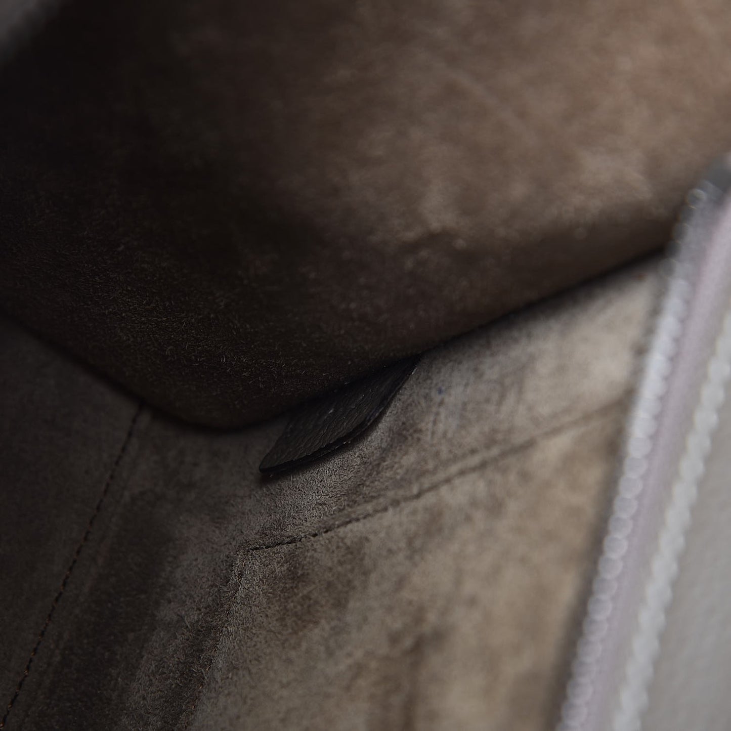 Drummed Calfskin Nano Luggage Souris