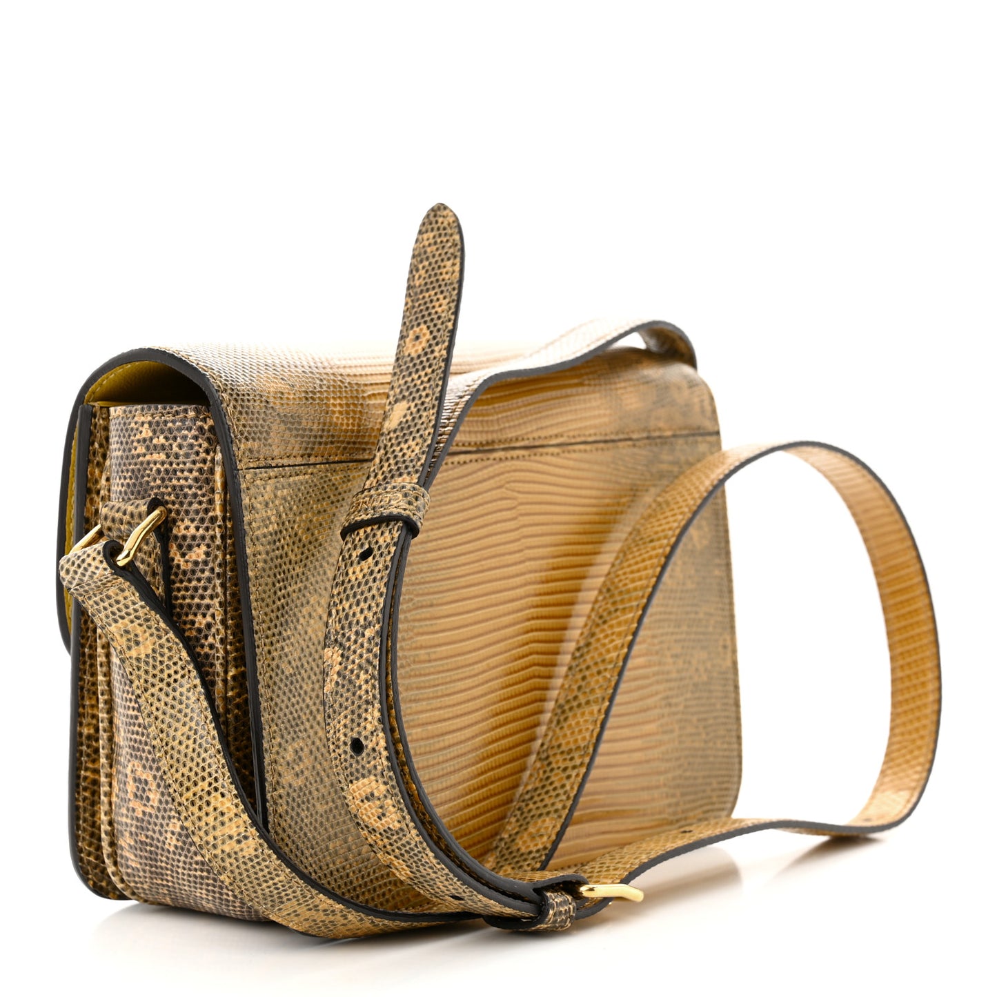 Lizard Teen Triomphe Ochre