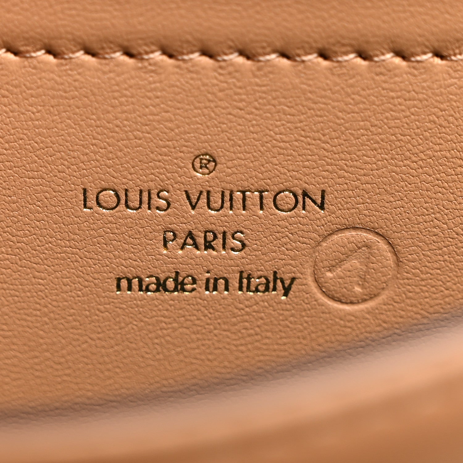 Louis Vuitton Lambskin Embossed Monogram Pochette Coussin Camel 6 of 10