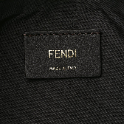 Fendi Vitello Grace Matte Small Fendigraphy Hobo Bag Edamame 6 of 10
