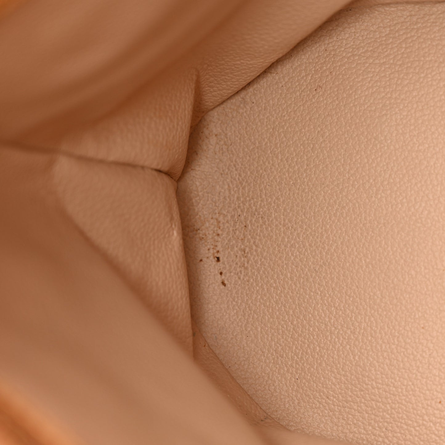 Monogram Petit Bucket 23
