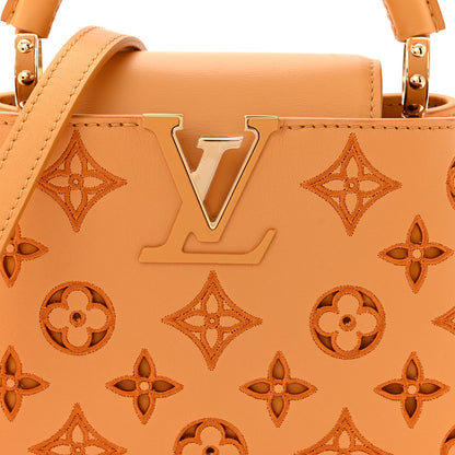 Louis Vuitton Calfskin LV Broderie Anglaise Mini Capucines Saffron 12 of 18