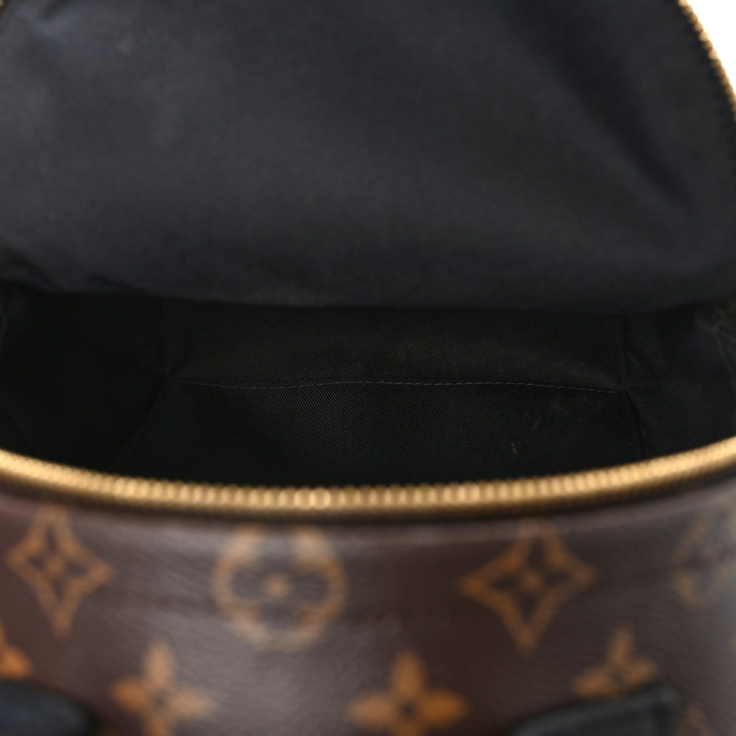 Monogram Palm Springs Backpack PM