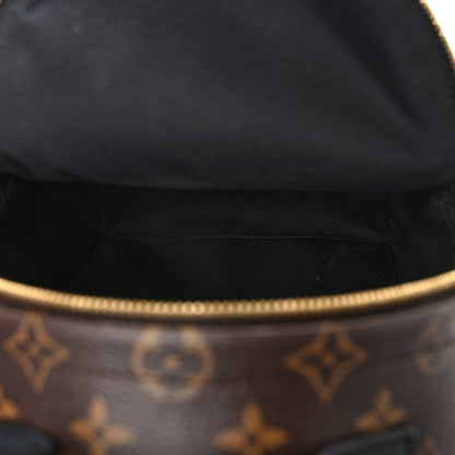 Louis Vuitton Monogram Palm Springs Backpack PM 5 of 11