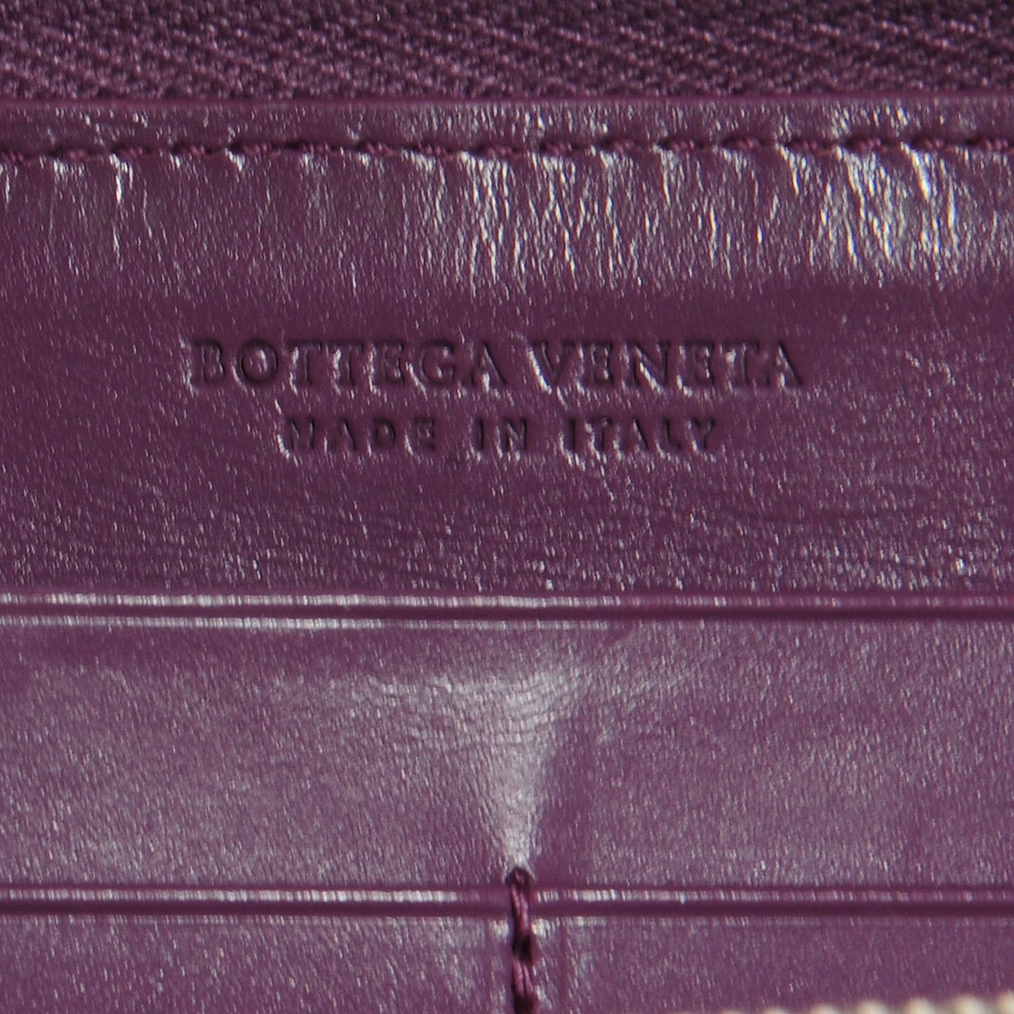 Shiny Crocodile Fume Zip Around Wallet Corot
