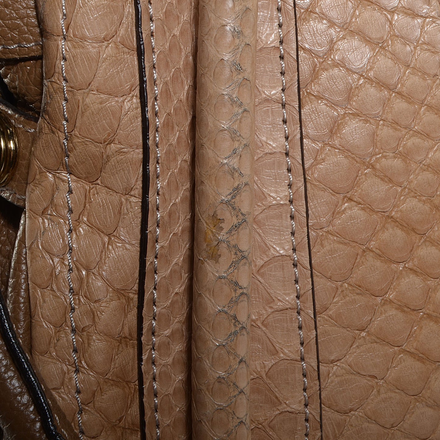 Python Large Paraty Sand