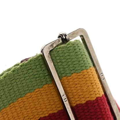 Christian Dior Monogram Rasta Saddle Pochette Beige 13 of 14