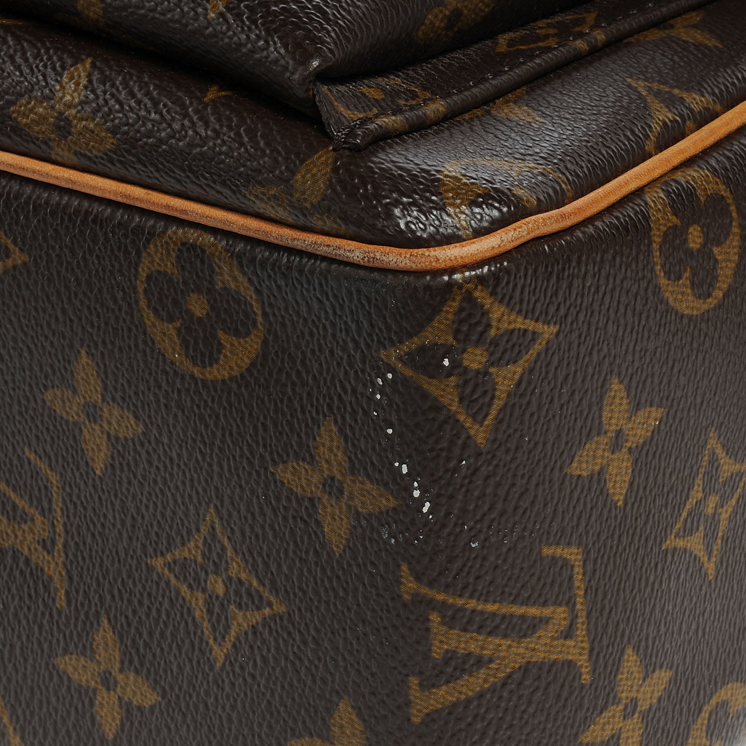 Louis Vuitton Monogram Viva-Cite GM 6 of 9