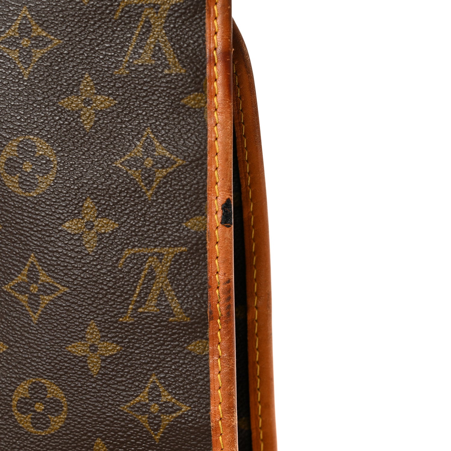 Louis Vuitton Monogram Garment Cover 11 of 12