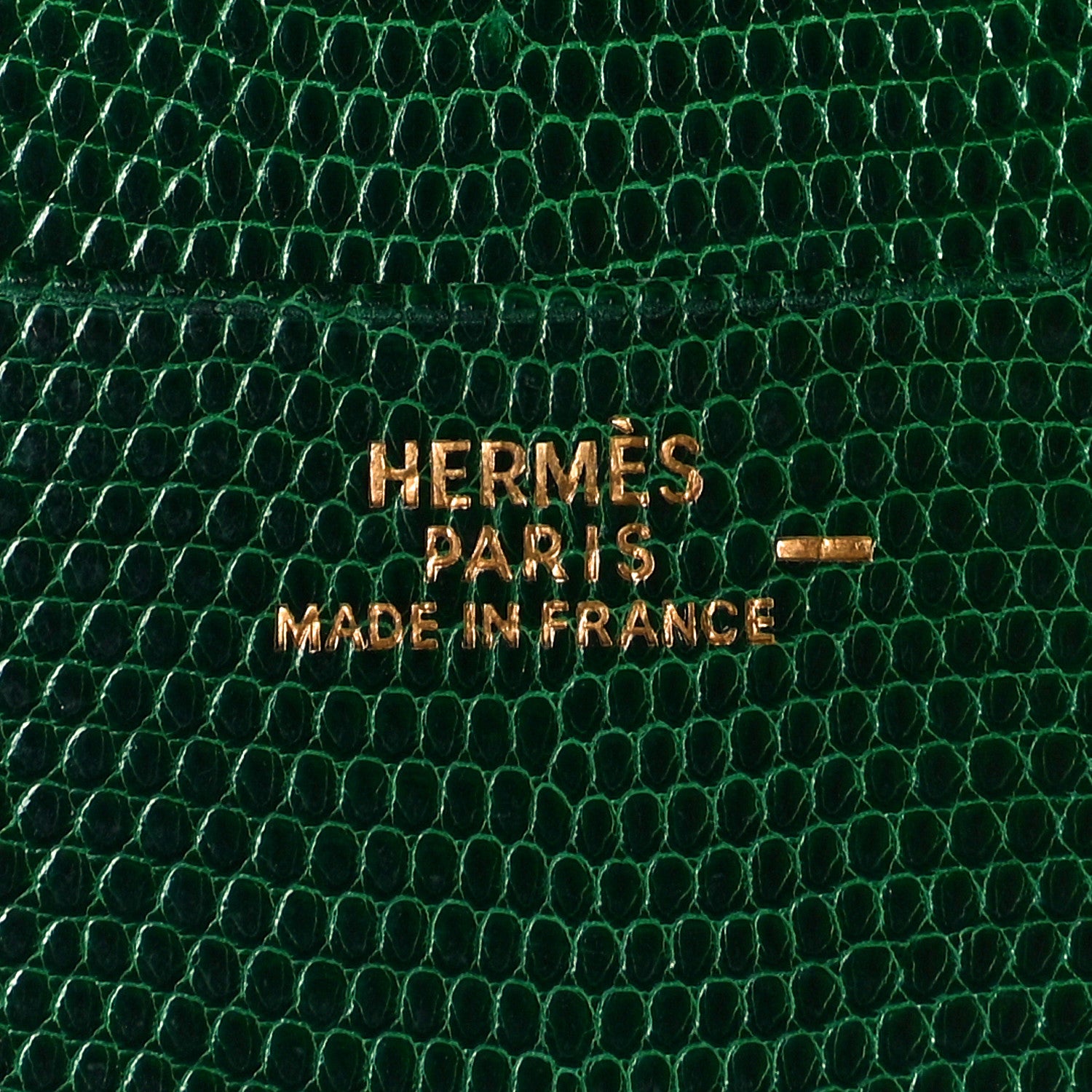 Hermes Lizard Vision Agenda Cover 6 of 7